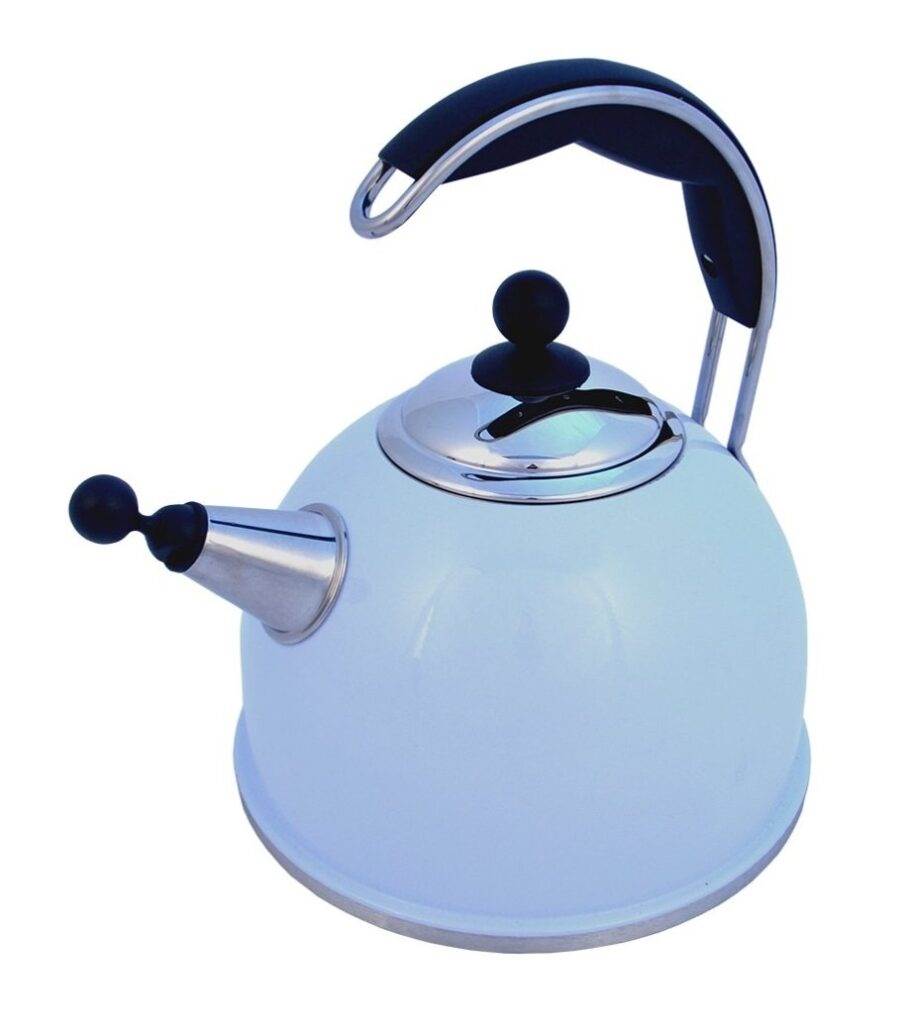 AGA Stainless Steel Whistling Kettle Duck Egg Blue