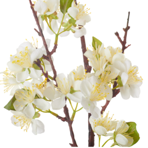 neptune-apple-blossom