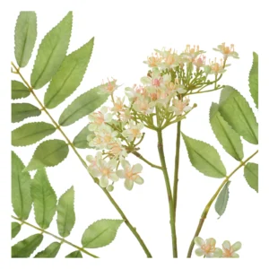 neptune-rowan-blossom