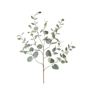 greenspray-eucalyptus
