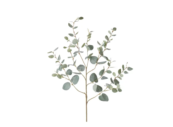 greenspray-eucalyptus