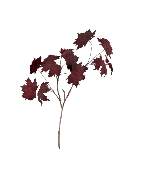 Neptune Maple Leaf Twig - Burgundy (1) £20.00