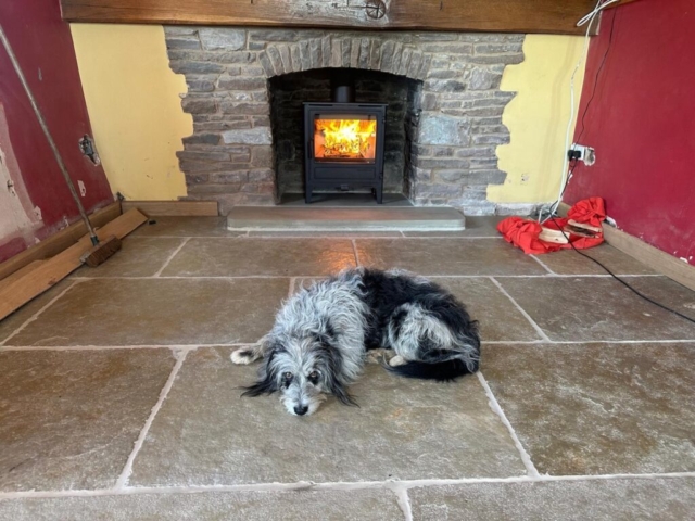 Traditional Portfolio (2)