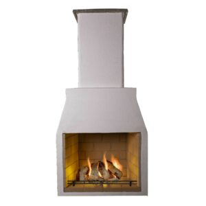 Schiedel Isokern Garden 950 Fireplace