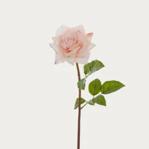 Neptune Pink rose Stem